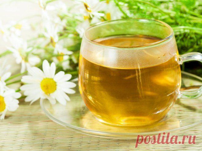 Успокоительное с грядки | Wclub.ru