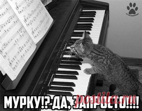 Интересные новости
