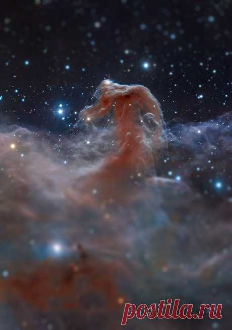 My view of the world â€” space-wallpapers: Horsehead nebula Tilt Shift ...