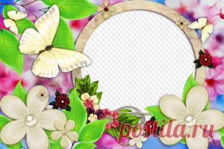 Mariposas y flores, marco para photoshop. Marco PNG transparente, plantilla de marco de fotos en capas PSD, descarga.