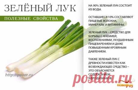 спаржа - Пошук Google