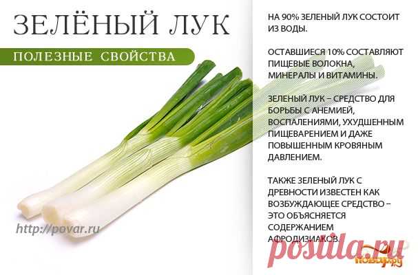 спаржа - Пошук Google