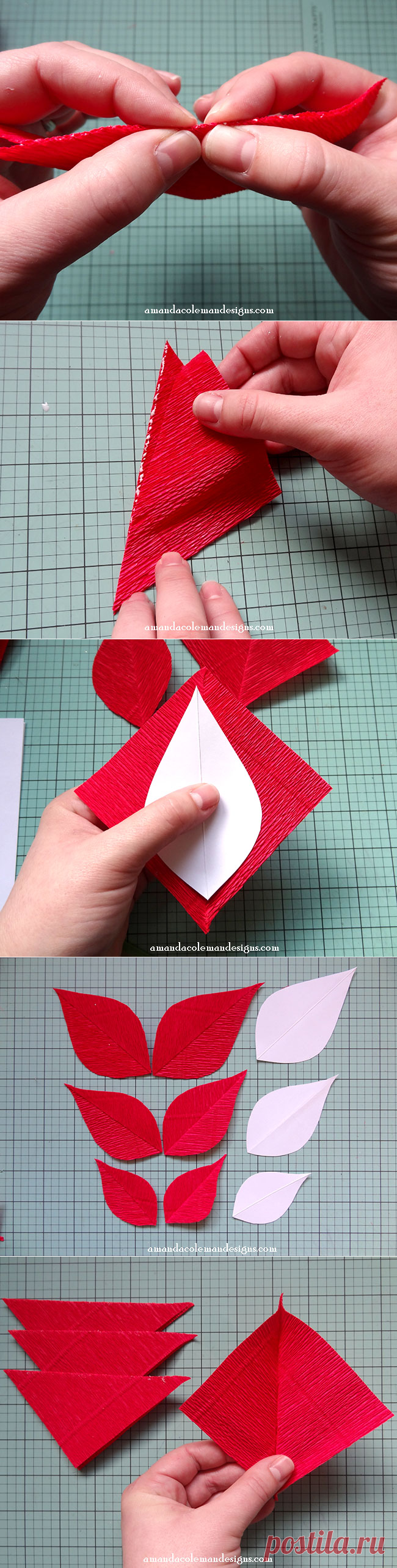 Popper and Mimi: DIY Crepe Paper Poinsettia