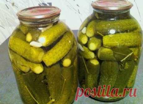 Вкусные огурцы в 3 литровых банках на зиму - пошаговый рецепт с фото