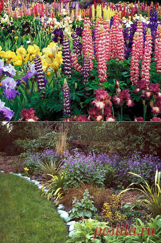 Цветник. Уход. Декоративно-цветущие, декоративно-лиственные. Кустарники. Цветы. Как оформить. Подобрать растения для цветника, сада. Фото.