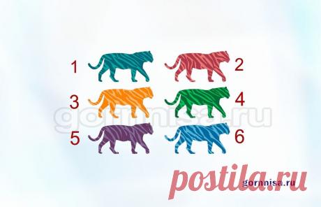 Тест - прогноз - Выберите тигра и узнайте каким будет Ваш год - ГОРНИЦА