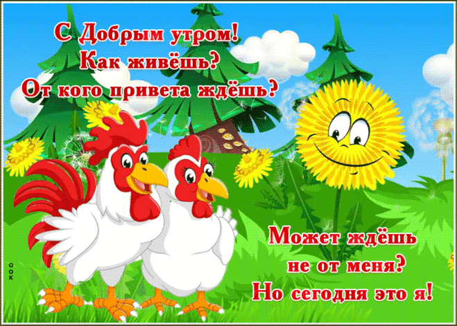 Смешная картинка с добрым утром