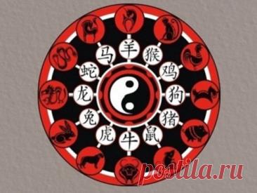 Китайский гороскоп по году рождения на 2026 год Подготовиться к наступающему 2026 году заранее поможет точный китайский гороскоп. В нем отражены ключевые аспекты, которые помогут справиться с новыми событиями и притянуть в жизнь необходимые перемены.