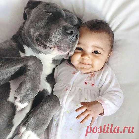 Дети и животные на фотографиях – редкие снимки, способные затронуть душу
