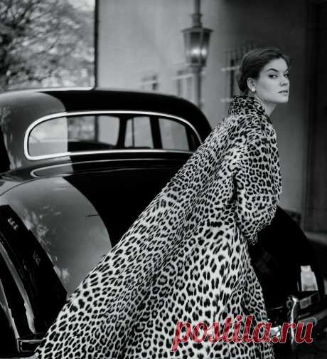 Lo Olschner by F.C. Gundlach
Ozelot Mantel von Berger Hamburg 1954
by F.C. Gundlach