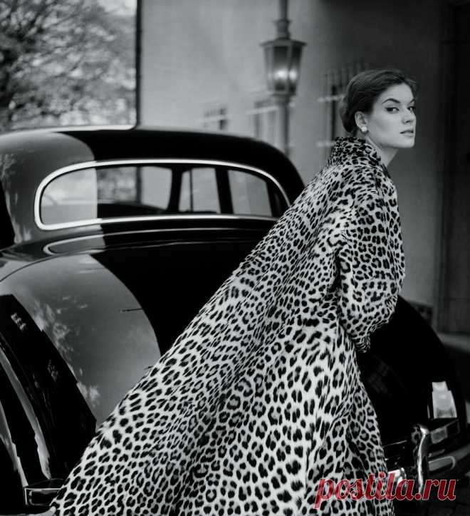 Lo Olschner by F.C. Gundlach
Ozelot Mantel von Berger Hamburg 1954
by F.C. Gundlach
