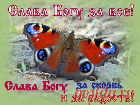 Мы не в состоянии достойно возблагодарить Господа. Но наш долг приносить посильную благодарность и непрестанно прославлять Господа словом и добродетельной жизнью. 
Святитель Иоанн Златоуст