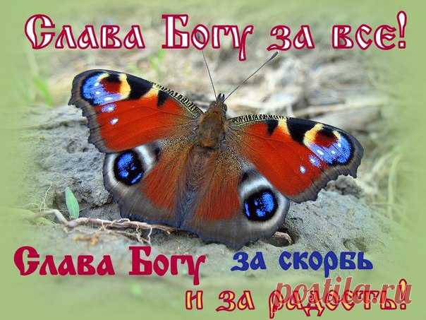 Мы не в состоянии достойно возблагодарить Господа. Но наш долг приносить посильную благодарность и непрестанно прославлять Господа словом и добродетельной жизнью. 
Святитель Иоанн Златоуст