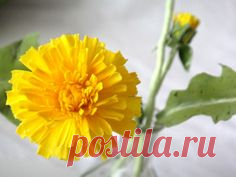 Pinterest • Всемирный каталог идей