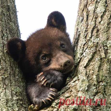 Photo by Jennifer Hadley in North Carolina