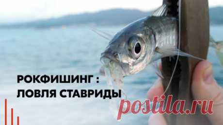 Рыбалка весной: какую рыбу ловить, снасти и советы от экспертов