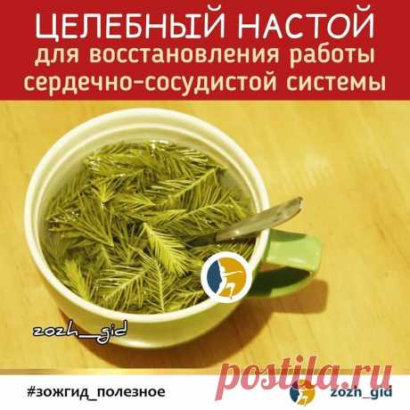 Photo by ЗОЖ 🔹️ ПП 🔸️ ФИТНЕС in Moscow. May be an image of text that says 'целебный настой для восстановления работы сердечно-сосудистой системы z02h gid #зожгид_полезное zozh_gid zozh'.