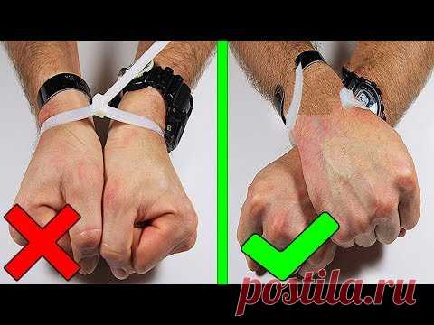 10 полезных советов, которые помогут вам выжить / Домоседы
