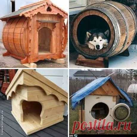 Будка для собаки необычная и простая своими руками