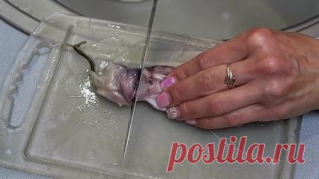 Салат с кальмарами / Как почистить кальмар / Как варить кальмары