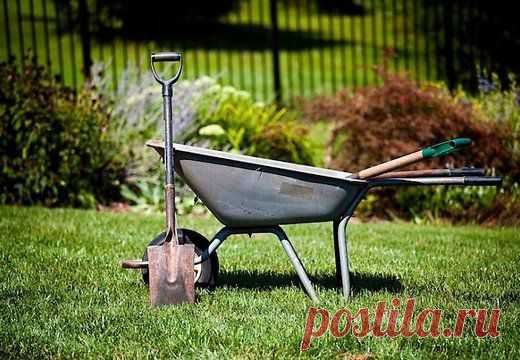 Советы по посадке и .....др.