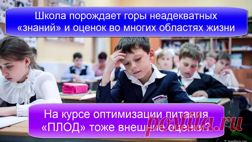 Школа порождает горы неадекватных «знаний» и внешних оценок во многих областях жизни