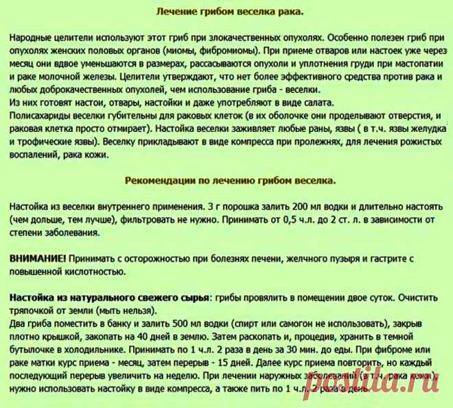 Лечение грибом веселка рака