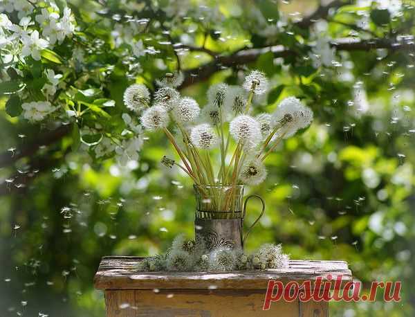 Фото Без названия. Альбом Фото группы - 50 фото. Фотографии Мысли вслух - Улыбка сердцем.