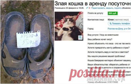 17 убойных снимков о суровой и беспощадной российской аренде