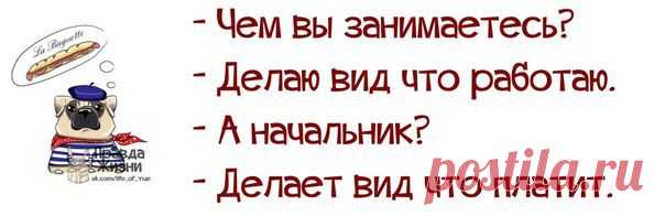 Чем Вы занимаетесь?