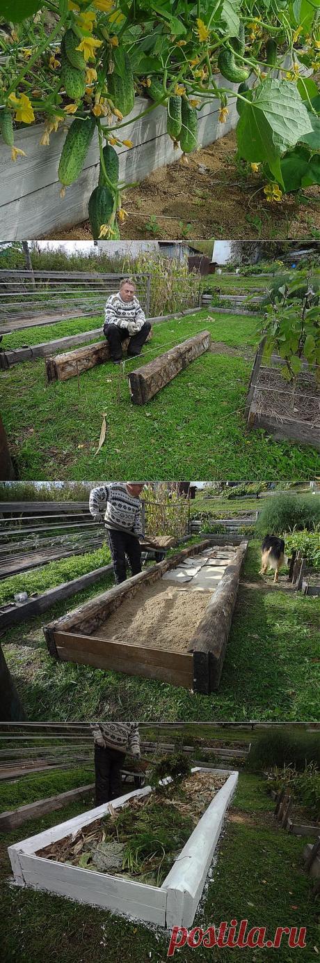 Урожайные грядки от Игоря Лядова | maxdeti.ru