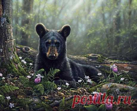 Художник Abraham Hunter.