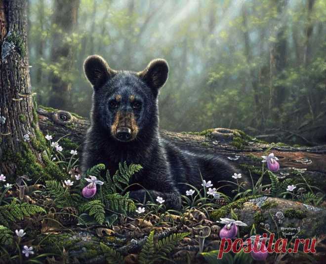 Художник Abraham Hunter.