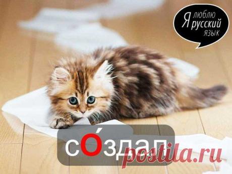 Стена