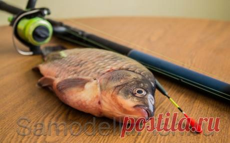 Пять лучших насадок для ловли карася - Самоделки для рыбалки своими руками