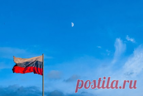 Стало известно о пользе западных санкций для России. Профессор факультета экономики университета управления Ниигаты Иван Целищев заявил, что Россия смогла адаптироваться к санкциям, которые ввели против нее западные страны. Ограничения вынудили Москву создать экономический блок с КНР, Индией и Турцией, написал эксперт в материале для Nihon Keizai.