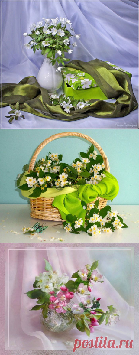 Натюрморты Весенние цветы.