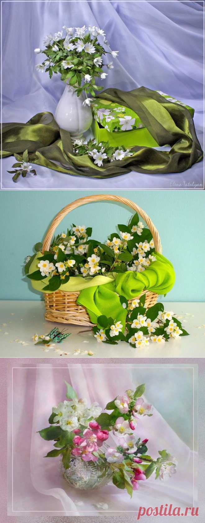 Натюрморты Весенние цветы.