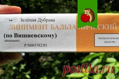 Мазь Вишневского из аптечки в огород. Это настоящая находка: в чем ее польза и как применять? | садоёж | Яндекс Дзен