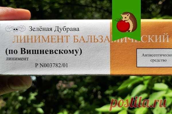 Мазь Вишневского из аптечки в огород. Это настоящая находка: в чем ее польза и как применять? | садоёж | Яндекс Дзен