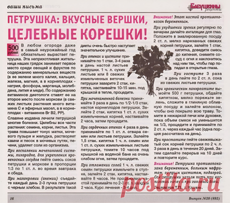 Петрушка: вкусные вершки, целебные корешки