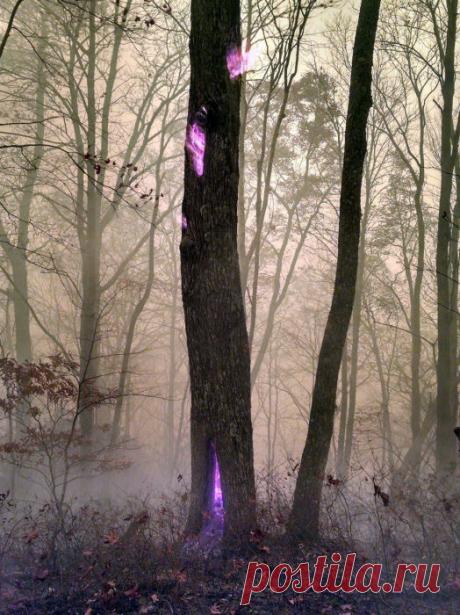 17 фотографий, доказывающих, что природа умеет шутить