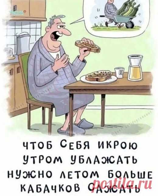 Выпуск №6554 - выпуск анекдотов сайта вокруг смеха