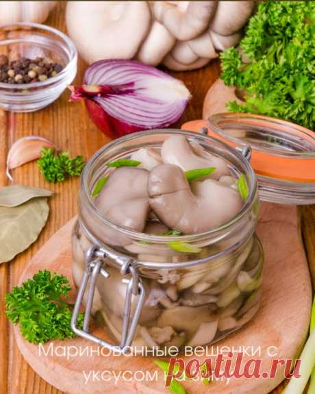 Маринованные вешенки с уксусом на зиму