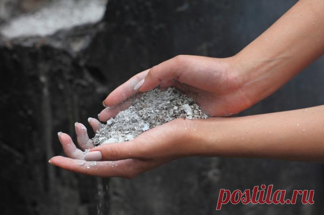 Подкормка огурцов в открытом грунте народными средствами