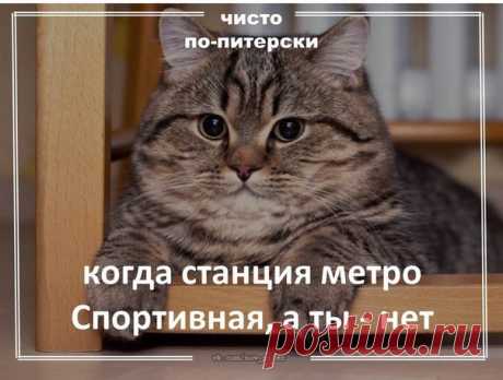 Чисто по-питерски