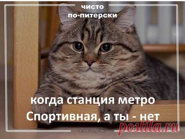 Чисто по-питерски