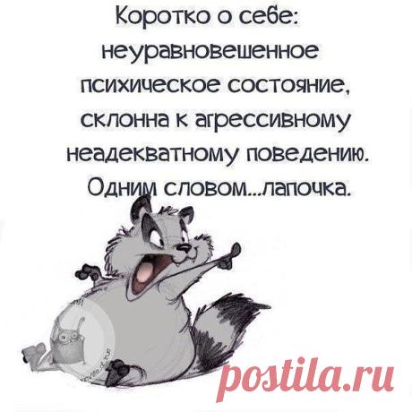 Я - модератор