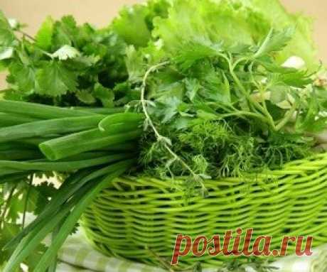 Врачи назвали самые действенные продукты для детоксикации организма Ряд повседневных продуктов при постоянном употреблении способен не просто вывести токсины и вредные вещества из организма, но и наладить работу внутренних органов.