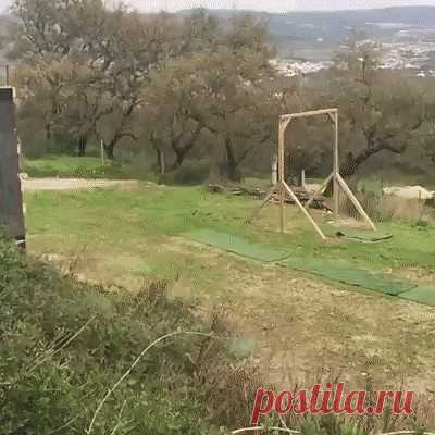 Одноклассники